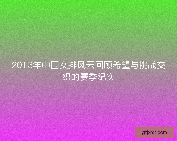 2013年中国女排风云回顾希望与挑战交织的赛季纪实